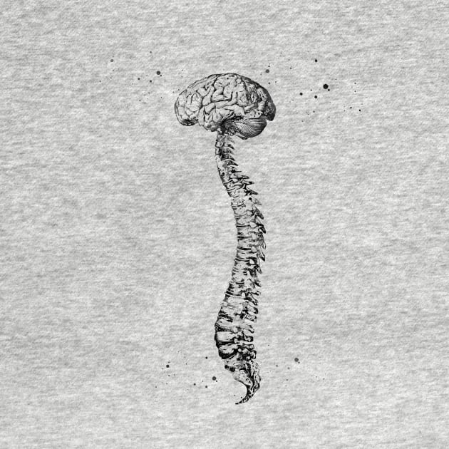Human Spine with Brain by erzebeth